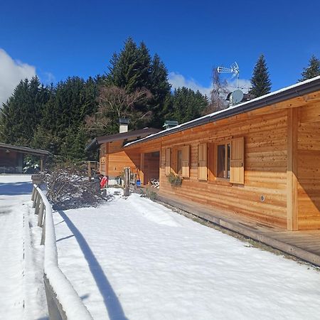 Andalo Chalet Eksteriør billede